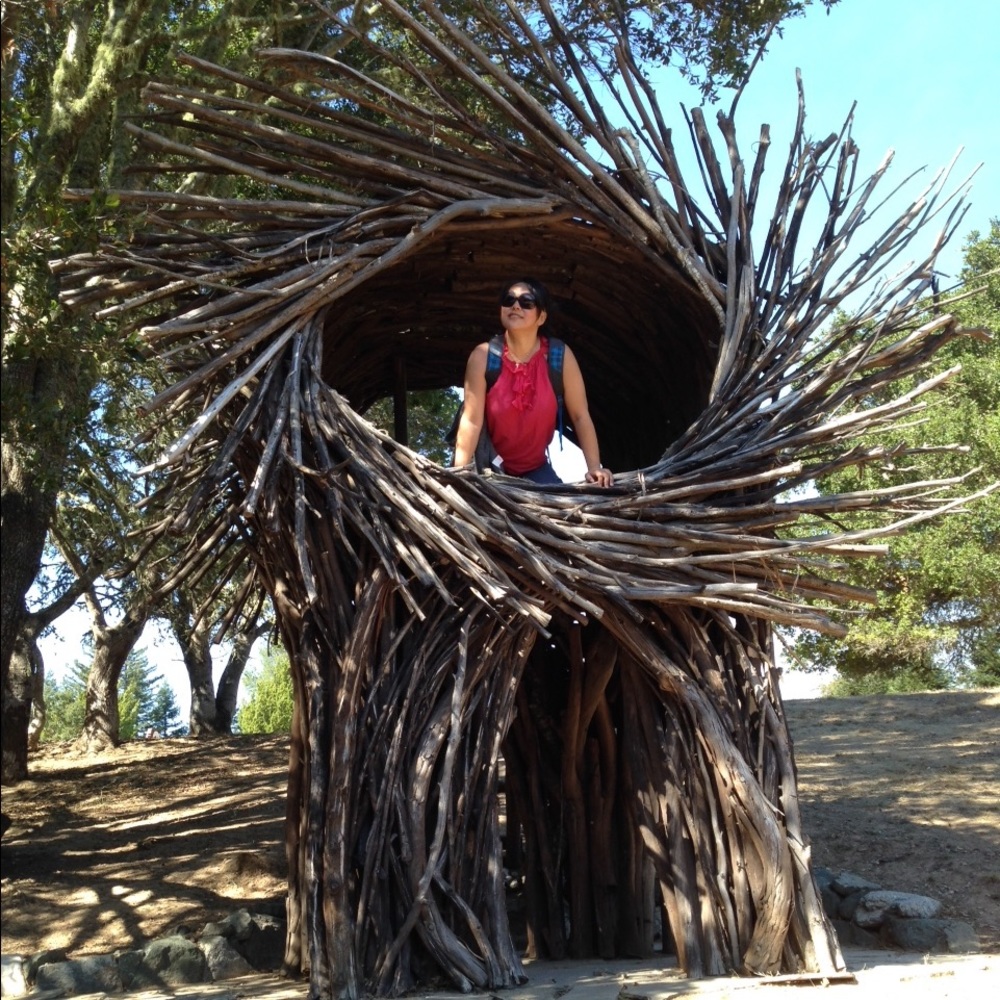 Meet your Posher, Song